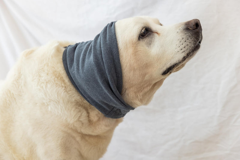 Calming Dog Ear Cover - Anti-Anxiety & Stress Relief Neck Gaiter for Surgery Recovery, Bathing, Grooming, Thunder & Fireworks Grey L Large