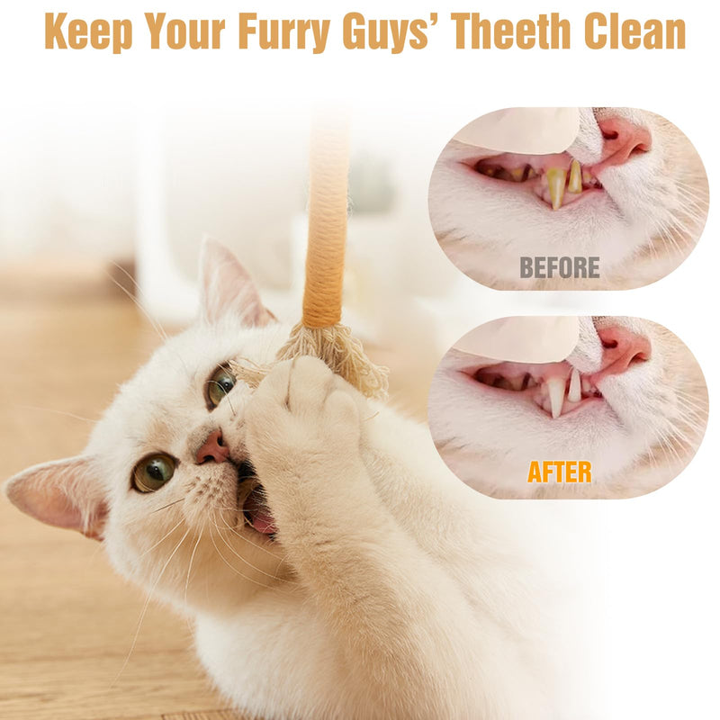 5 PCS Cat Chew Toy, 5.9in Cat Teething Toys, Catnip Toys for Cats, Teeth Cleaning Cat Toys for Indoor Kittens, Interactive Cat Toy for Indoor Cats - BeesActive Australia