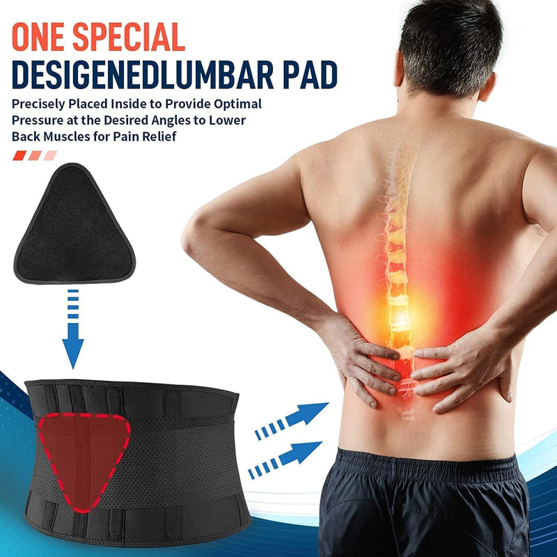 Back Brace for Lower Back Pain Relief - Adjustable Lumbar Support Belt for Sciatica, Herniated Disc, 3D Pad, Scoliosis - Breathable Mesh Lower Back Support with Removable Pad - For Men and Women (Large) Large - BeesActive Australia