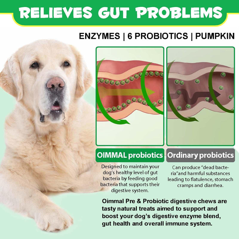 Probiotics for Dogs, 120 Chews Dog Probiotics Treats, Digestive Treats Dogs and Digestive Enzymes, Dog Digestive Health Gut, Immune Bowel Support, Reduce Diarrhea, Gas, Itchy Relief
