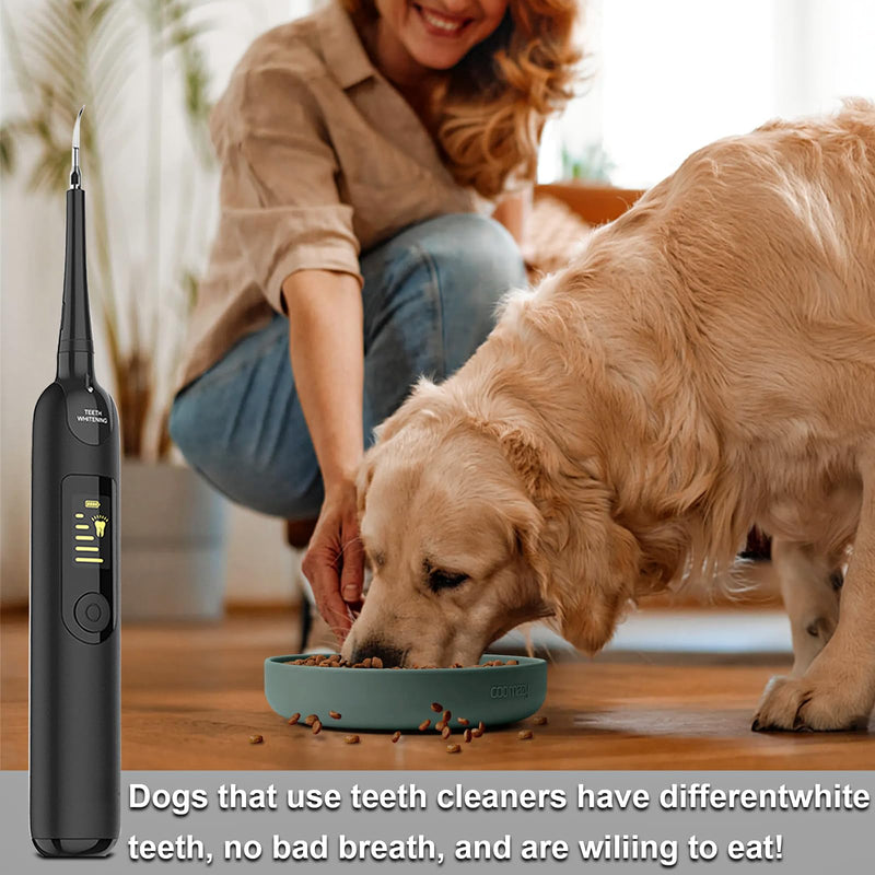 JOLOVE Dog Tooth Cleaning Kit, Pet Tooth Cleaning Kit with LED Light, Electric Dog Teeth Cleaning Tools 5 Cleaning Intensities, 2 Repalceable Heads For Removal of Food Residue