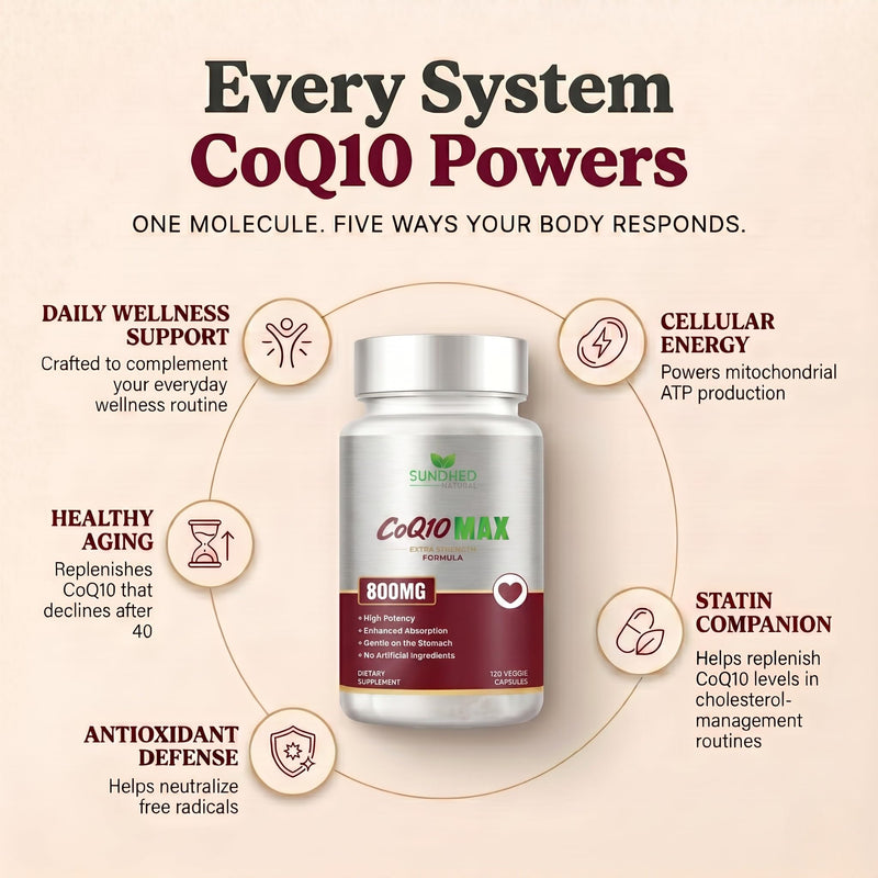 CoQ10 800mg, Coenzyme Q10 Supplement, 120 Vegan Capsules 800 mg 1 Count (Pack of 120)