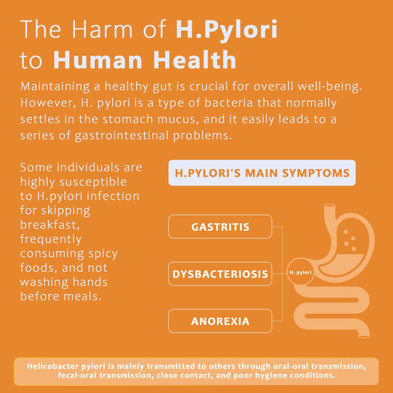 Helicobacter Pylori Test, H Pylori Test Kits at Home, 2-Pack H. Pylori Test kit Results in 10-15 Minutes. H-Pylori Self-Test for Home Use: Fast, Highly Accurate, and Easy to Use.