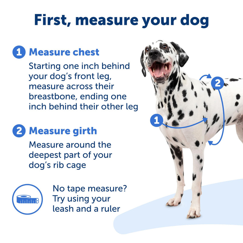 PetSafe Easy Walk Deluxe Dog Harness, No Pull Dog Harness – Perfect for Leash & Harness Training – Stops Pets from Pulling and Choking on Walks – Large, Ocean Large (Pack of 1) - BeesActive Australia