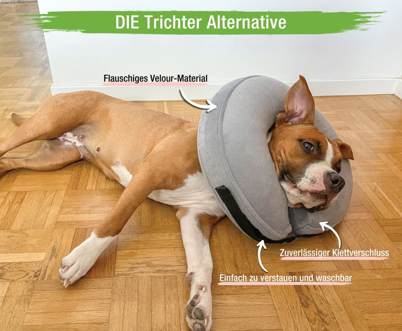 NEW: MC-Royal®Premium neck brace - inflatable premium neck brace for dogs and cats [reliable protection] - dog collar - leak protection dog - dog collar - cat neck brace - protective collar dog 2.Size: L - BeesActive Australia