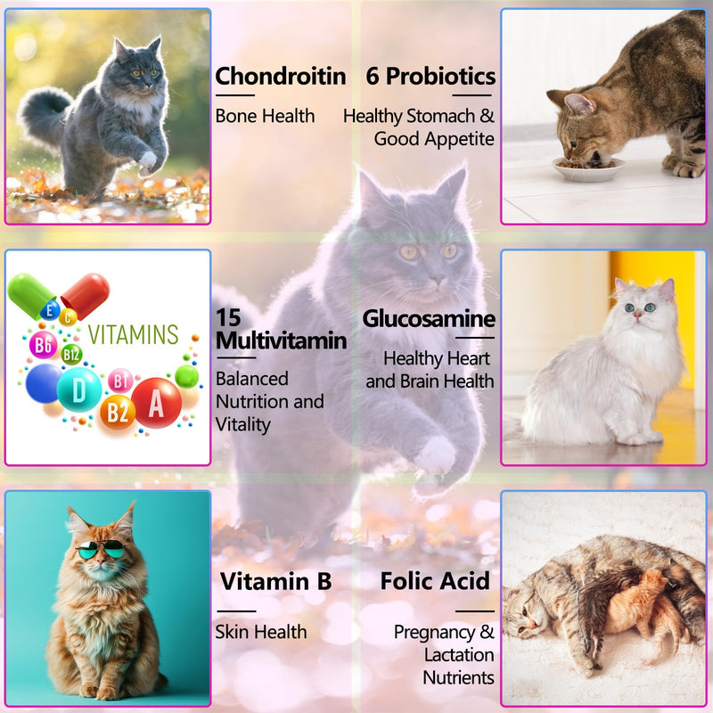 15-in-1 Cat Multivitamin Drops, Vitamins and Supplements for Cats - Liquid multivitamins for cats support immune health, hip and joint health - BeesActive Australia