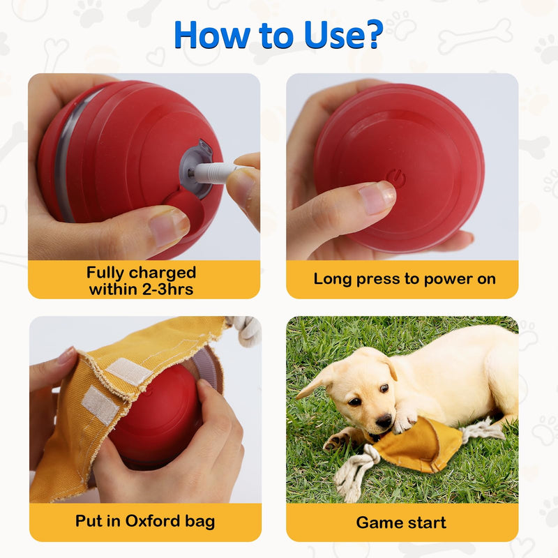 Interactive Dog Balls with Motion Activated, Wicked Ball Squeaky Dog Toy Oxford Bag Keep Dogs Busy (Red Ball) - BeesActive Australia