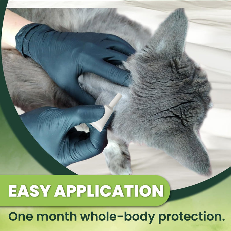 Flea and Tick Prevention for Cats: Flea & Tick Topical for Cats Over 1.5lbs, 6 Dose Flea and Tick Control/Prevention for 6 Months (6 Pack) 6 Pack