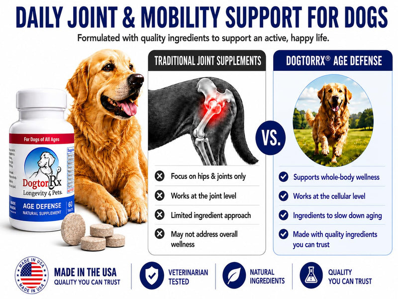 DogtorRx Age Defense, Senior Dog Joint & Mobility Support Supplement, Healthy Joints & Ligaments, Dog Chewable Multivitamin & Supplement for All Breeds & Sizes, Made in USA (60 Tablets)