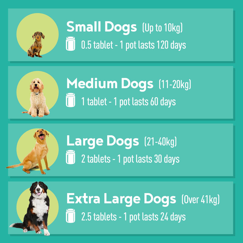Calming Tablets for Dogs - 60 Tabs, Aids Anxiety Relief, Fireworks, Stress & Barking - Tasty Treats Calming Supplement for Dogs - Natural Ingredients that Improves Behaviour - All Ages & Breeds Tablet Adult 60 Tab