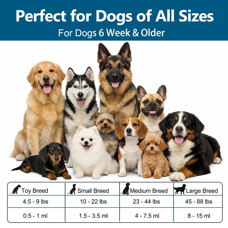 Dewormer for Dogs Fenbendazole for All Wormers, Roundworms , Hookworms , Whipworms and Tapeworms Broad Spectrum