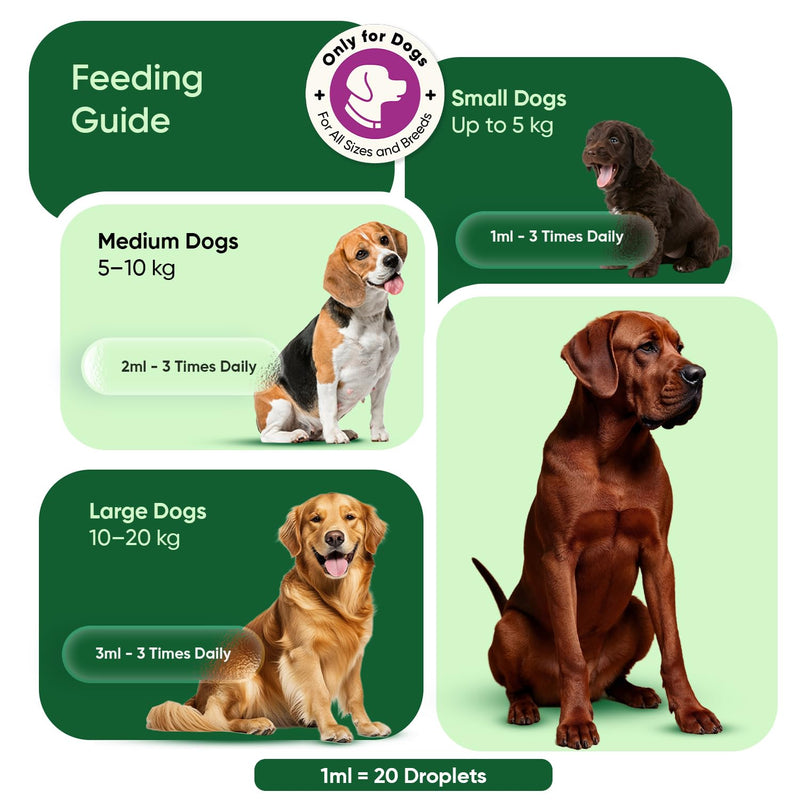Calming Drops for Dogs 100ml - For Loud Noises, Home Alone Time, Hyperactivity & Travel - Puppy Calm Products with Amino Acid, Vitamins & Minerals - Alternative to Dog Calming Treats, Sprays & Collars