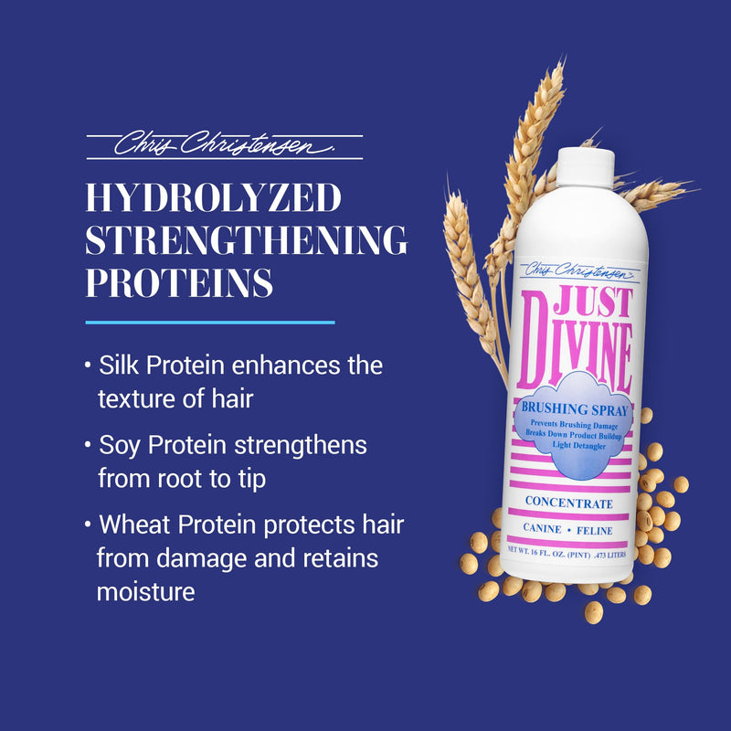 Chris Christensen Just Divine Dog Brushing Spray Concentrate, Groom Like a Professional, Prevents Brushing Damage, Light Detangler, All Coat Types, Made in USA, 16oz 16 oz Concentrate