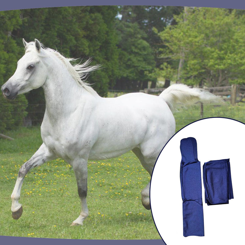 Ranch Hand Horse Mane Bags - Protect Horse's Mane from Wind, Sun, Mud, Preventing Tangles, Rubbing Out, and Breakage | Made with Lycra and Nylon (Dark Blue) Dark Blue - BeesActive Australia