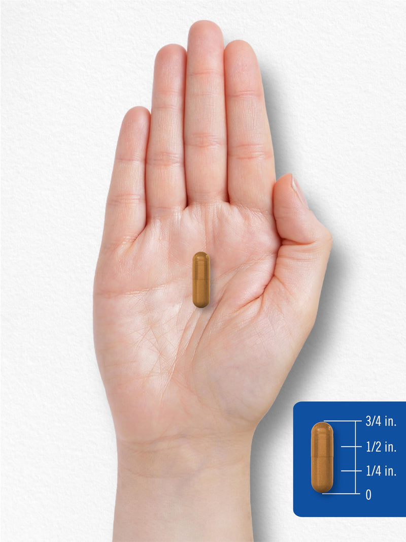 Carlyle Vitamin B-2 400mg | 180 Count | B2 Riboflavin | Non-GMO, Gluten Free Supplement