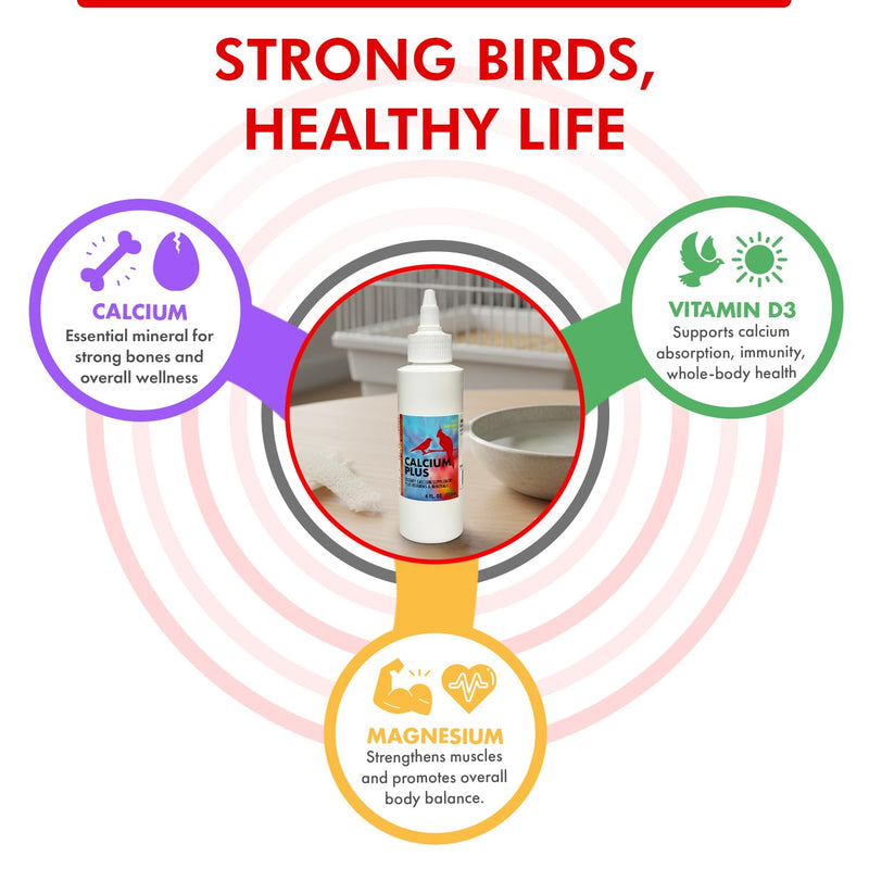 Morning Bird Calcium Plus Liquid for Birds – Calcium Supplement with Vitamins and Minerals for Strong Eggshells, Healthy Bones - Support Growth, Breeding, and Wellness for All Birds 4 Fl Oz