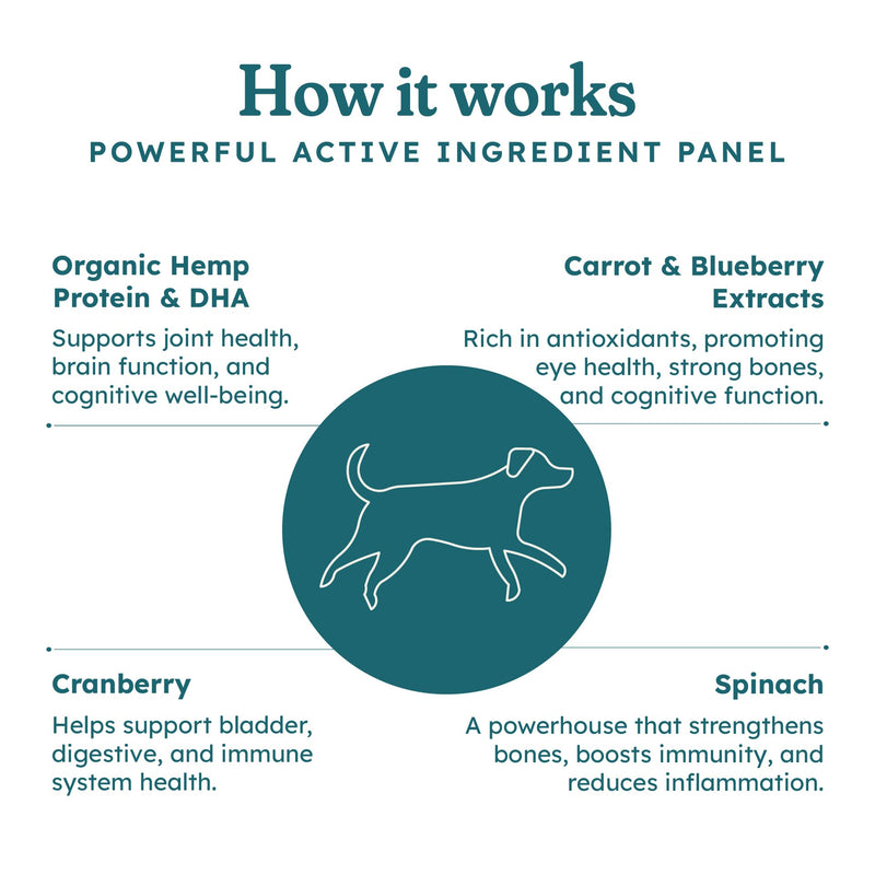 PetHeal Aging Aid Chews for Senior Dogs - Vet-Reviewed - Supports Joints, Energy & Vision with Hemp, DHA, Blueberry & Spinach | Fights Inflammation & Promotes Vitality | 30 Pork-Flavored Soft Chews