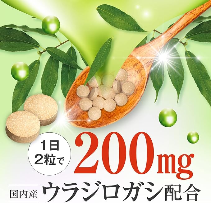 Luxury Ujilogashi EX 200mg Wakan no Mori, domestically produced, additive-free, 60 tablets, chlorella, ginseng, supervised by an international Chinese doctor - BeesActive Australia