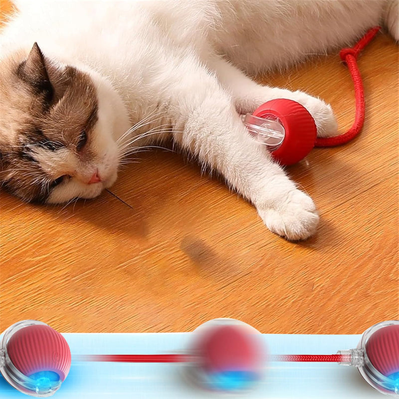 3PC Interactive Dog Toys,Interactive Dog Ball Electric Dog Ball Toy Rollie Pet Cat Toy Interactive Rolling Ball Cat Toy 360° Automatic Rolling Toy Ball for Dog/Cat (Red+Green+Grey) 3pc red,green,gray - BeesActive Australia