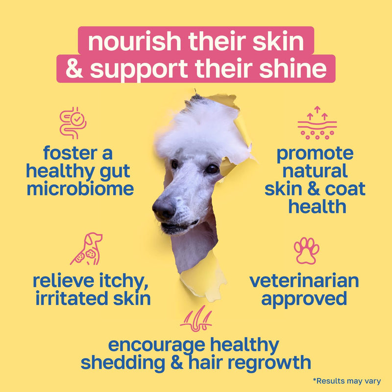 Happy Paws Skin and Coat Supplement for Dogs, Itch & Allergy Relief Support, Daily Dry Skin Comfort & Shedding Care with Coconut Oil & Vitamin B12, Vegan Chicken Flavor, 100 Chews 100 Count