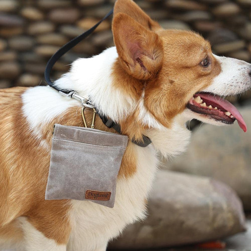 Dog Treat Bag, Puppy Dog Training Pouch Hands-Free Training Dog Treat Pouch, Includes Carabiner, for Pet Puppy Travel or Outdoor Use (Green) Green - BeesActive Australia