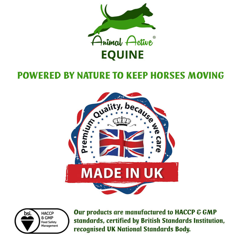 EquiJoint FlexFix for Horses | 240 Easy-Open Capsules - 4 Months Supply | Joint and Mobility Support Supplement for Horses | Combine with Boswellia or Glucosamine | Made in the UK