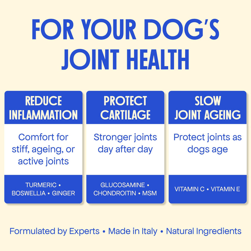 Joint Supplement for Dogs - With Glucosamine, Chondroitin, MSM, Turmeric, Ginger, Boswellia for Dogs with Stiff Joints, Arthritis - Supports Collagen Production - Natural Joint Care for All Dog Sizes