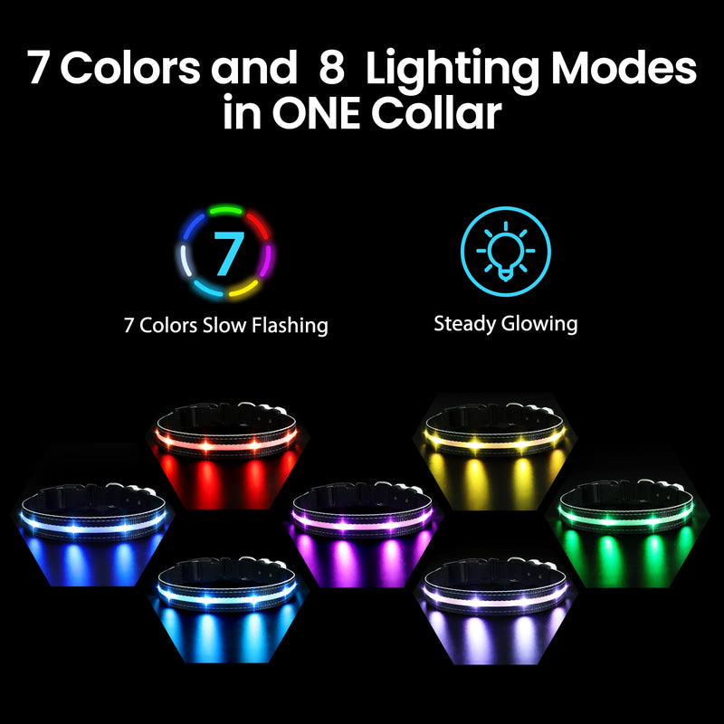 Dog Collar Luminous Rechargeable, Luminous Dog Collar 7 RGB Color Changing with 8 Light Modes, Adjustable LED Waterproof for Small Medium Large Dogs Collar, Black M - BeesActive Australia
