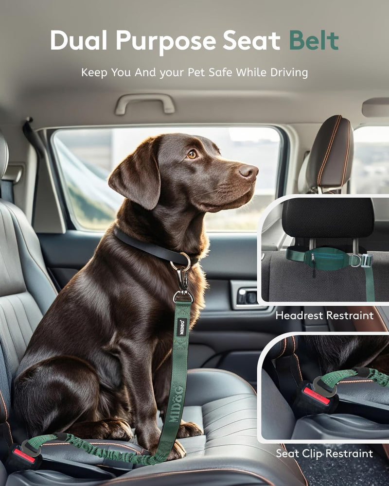 MIDOG Multifunctional Dog Leash Hands Free for Large Dogs - Adjustable Waist Leash with Zipper Pounch& Bungee Cord for Jogging/Running/Walking(4-7FT,Green) 4Ft-7Ft Green - BeesActive Australia