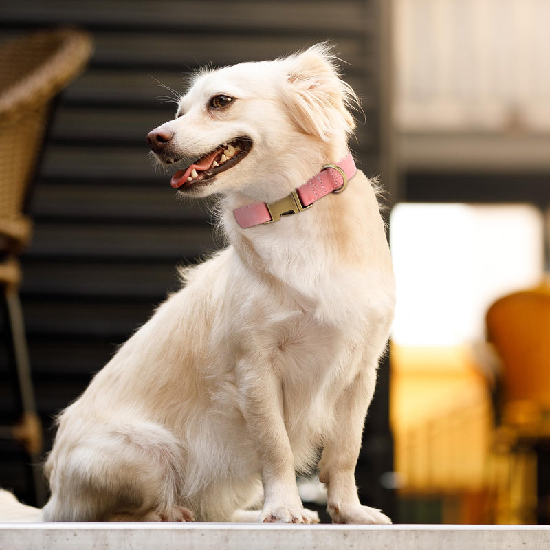 Soft Leather Dog Collar, Adjustable Heavy Duty Dog Collars with Quick Release Metal Buckle, Heavy Duty Basic Dog Collars for Small Dogs, Coffee, S - BeesActive Australia