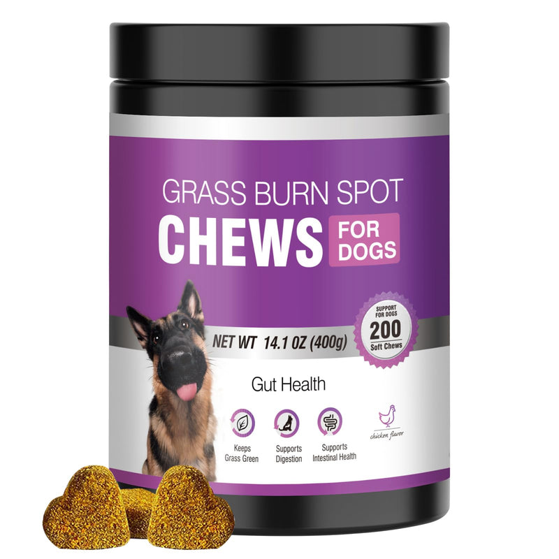 Grass Burn Spot Chews for Dogs Dog Pee Grass Neutralizer 200 Green Grass Dog Chews Urine Lawn Spot Protector Urinary Tract Support Dog Bladder Support Cranberry, Apple Cider Vinegar, DL-Methionine
