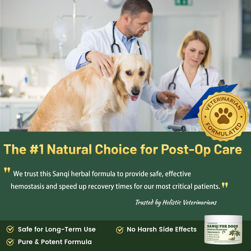 Yun nan Powder for Dogs – Natural Herbal Quick Stop Bleeding for Hemangiosarcoma, Hemoabdomen, Pericardial Effusion, Cancer Bleeding, Severe Bruising, Ulcer-Related Bleeding, Bloody Stools– 100g