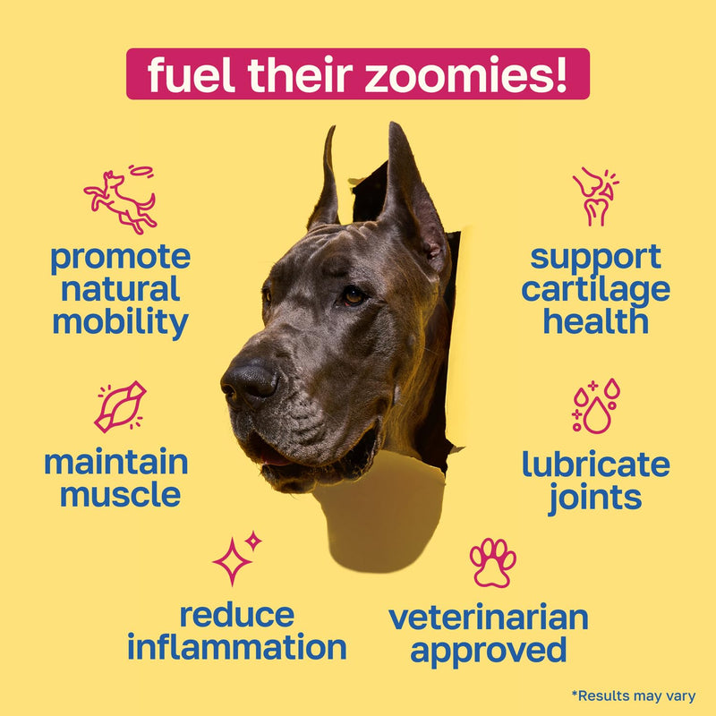 Happy Paws Hip and Joint Supplement for Dogs, Glucosamine Chondroitin for Dogs of All Breeds, Joint Support Soft Chews with Hyaluronic Acid & Turmeric, Vegan Bacon Flavor, Non GMO, 100 Soft Chews 100 Units
