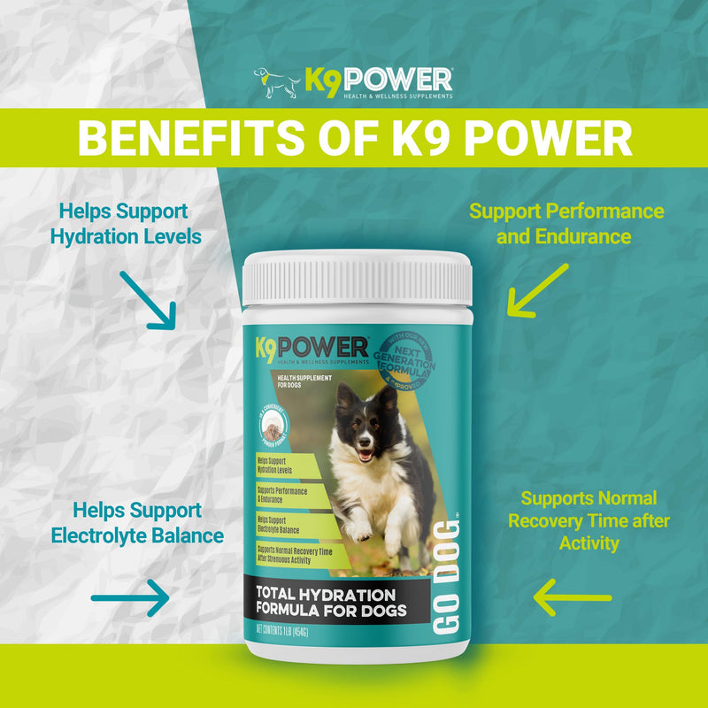 K9 Power Go Dog Hydration & Performance Drink Mix 1 lb - Active Dog Supplement for Muscle Function, Endurance, Recovery, with Electrolytes Support - PawsPlanet Australia