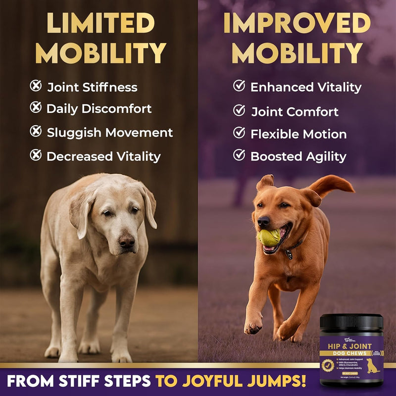 Picky Eater Approved | Mobility & Arthritis Relief for Adult & Senior Dogs | 9-in-1 Joint Supplement Chews | Glucosamine, MSM, Chondroitin, Turmeric, Omega-3 | UK Formulated | 90 Count