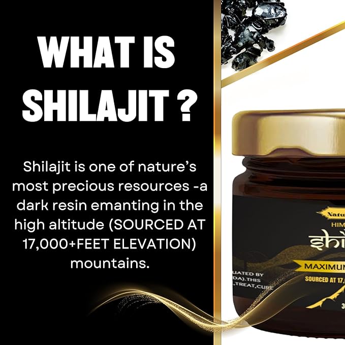 Nature Blaze Himalayan Shilajit Resin (30 Gm / 1.0 Oz) - BeesActive Australia