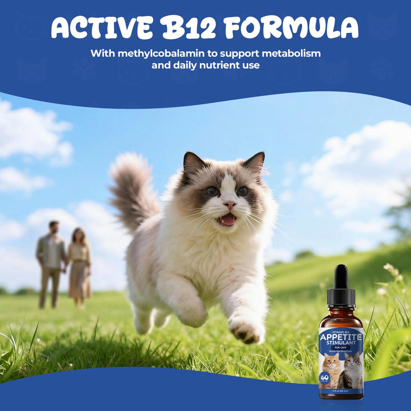 Appetite Stimulant Drops for Cats – Vitamin B12 Liquid with Methylcobalamin, Supports Appetite, Energy & Metabolism, Helps Picky or Low-Energy Cats Eat & Thrive, 2 fl oz