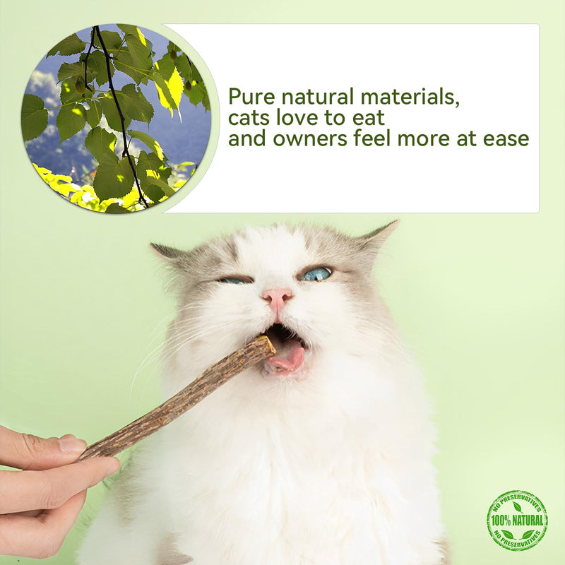 Simsky 5 pieces catnip sticks - cushion for cats with dental care - cat toy with natural catnip - BeesActive Australia