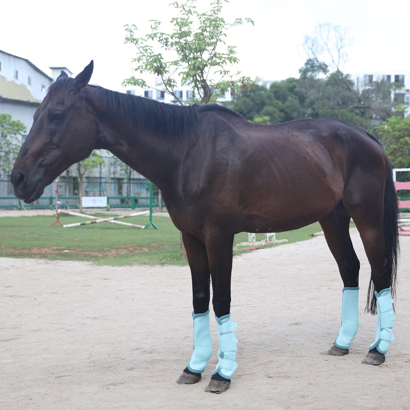 Fly Boots for Horses Set of 4, Breathable Comfy Mesh Horse Leggings Reduce Stomping, Hoof Stress, and Leg Fatigue SkyBlue Cob Sky Blue - BeesActive Australia