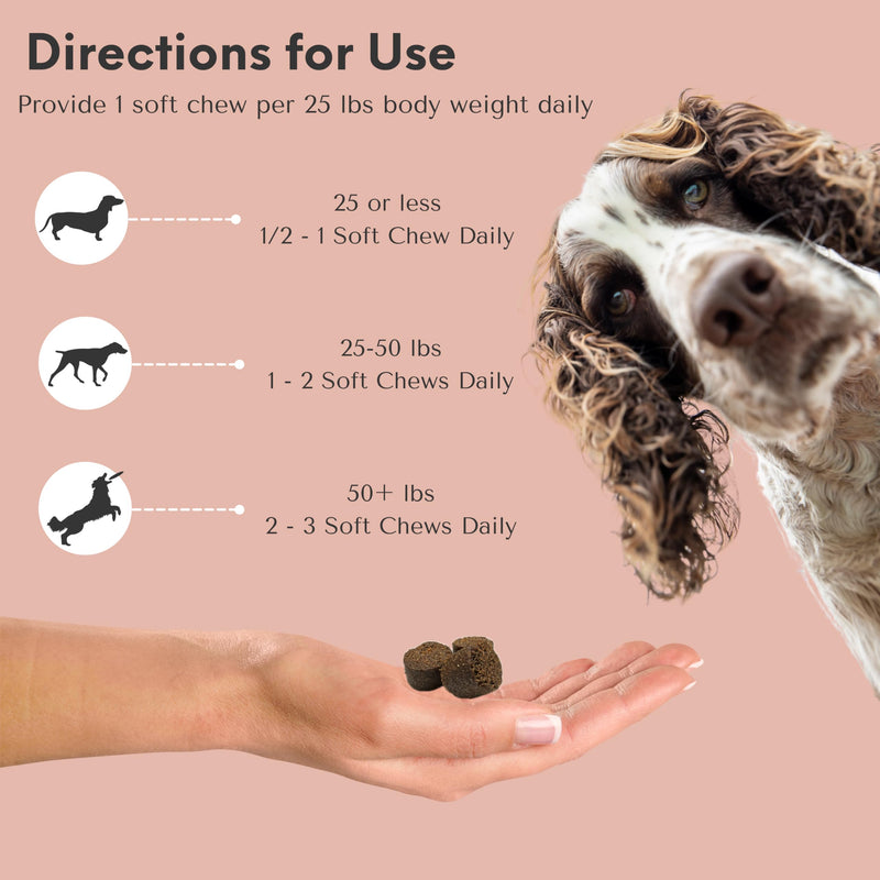 Glucosamine for Dogs - Beef Flavor Senior Dog Glucosamine Chondroitin Chews, 60 Count, Supports Hip & Joint Health, MSM, Turmeric, Collagen, Large Dog Supplement, 180g