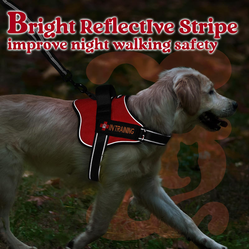 rabbitgoo Dog Harness Medium Sized, No Pull No Choke Pet Vest, Easy Wearing with One Buckle, Reflective, Adjustable Pet Harness with Molle for Walking, Training, Red, M - BeesActive Australia