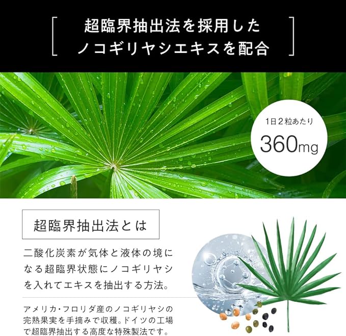 PROAGA Saw Palmetto Supplement 10800mg Zinc Supplement 30 Days Capsule Contains High Purity Saw Palmetto Extract - BeesActive Australia