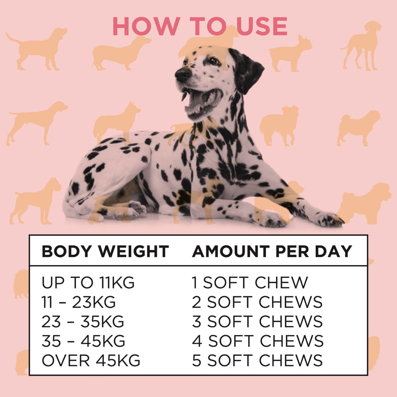 Omega 3 Skin & Coat Dog Supplements – 120 Soft Chews with EPA & DHA, Collagen, Biotin & Zinc – Helps Itchy Skin, Shedding & Dry Coat – Natural Beef Flavour