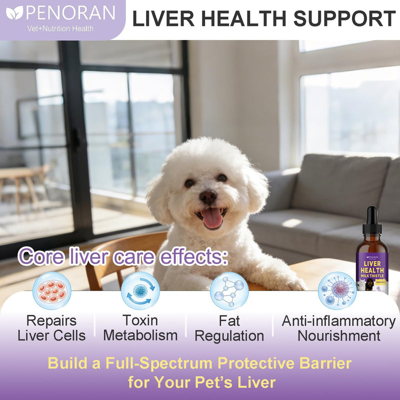 Milk Thistle Liver Support Liquid for Dogs and Cats | targets liver damage and fat buildup, repairs damaged cells, enhances liver detoxification, metabolic capacity