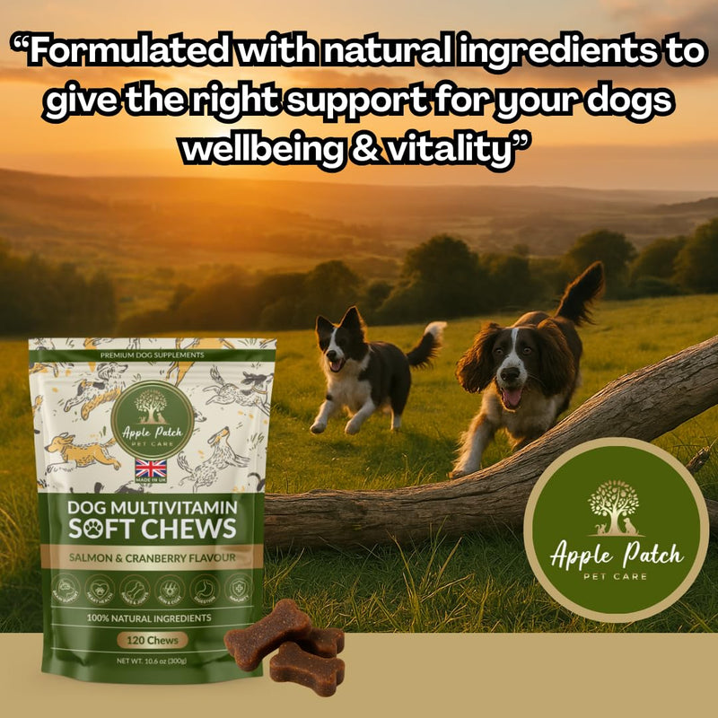 Premium Dog Multivitamin Soft Chews – Complete All-in-One Supplement for Joint, Skin, Coat, Digestion, Heart, Brain & Immune Health - Natural Ingredients - Full Wellbeing Support