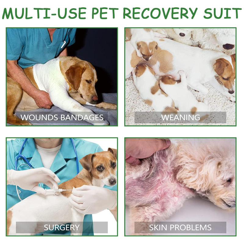 DKDDSSS Dog bodysuit after surgery - castration wound protection suits for dogs - bodysuit for dogs after surgery - breathable dog one-piece recovery suit for male dogs - practical and comfortable - 4XL - BeesActive Australia