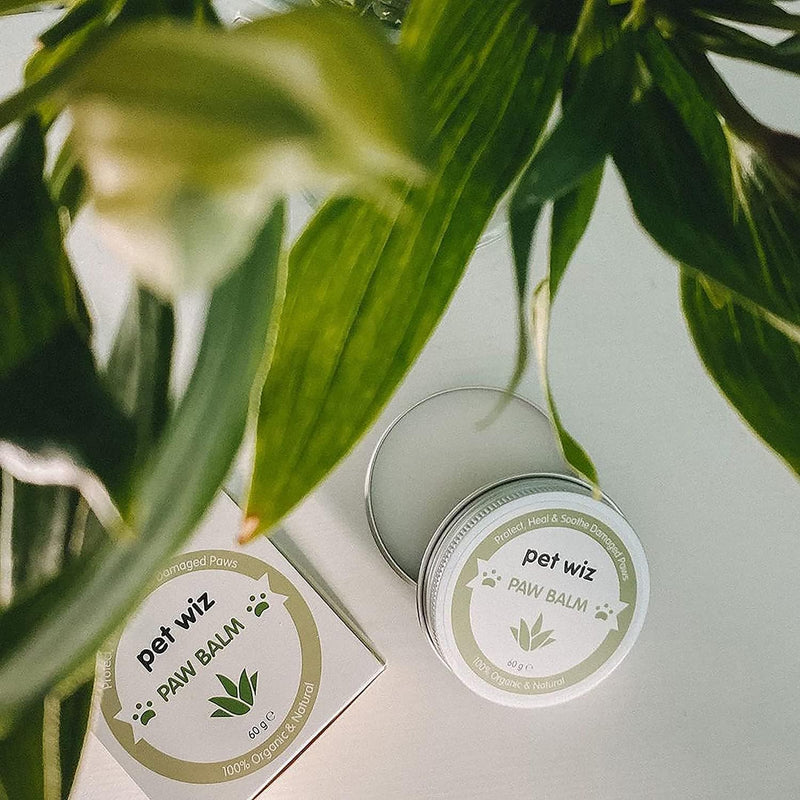 pet wiz Paw & Nose Balm for Dogs & Cats - Organic & Natural Ingredients - Organic Paw and Nose Balm for Dogs and Cats - Coconut Oil, Shea Butter, Vitamin E & Aloe (60g ℮)