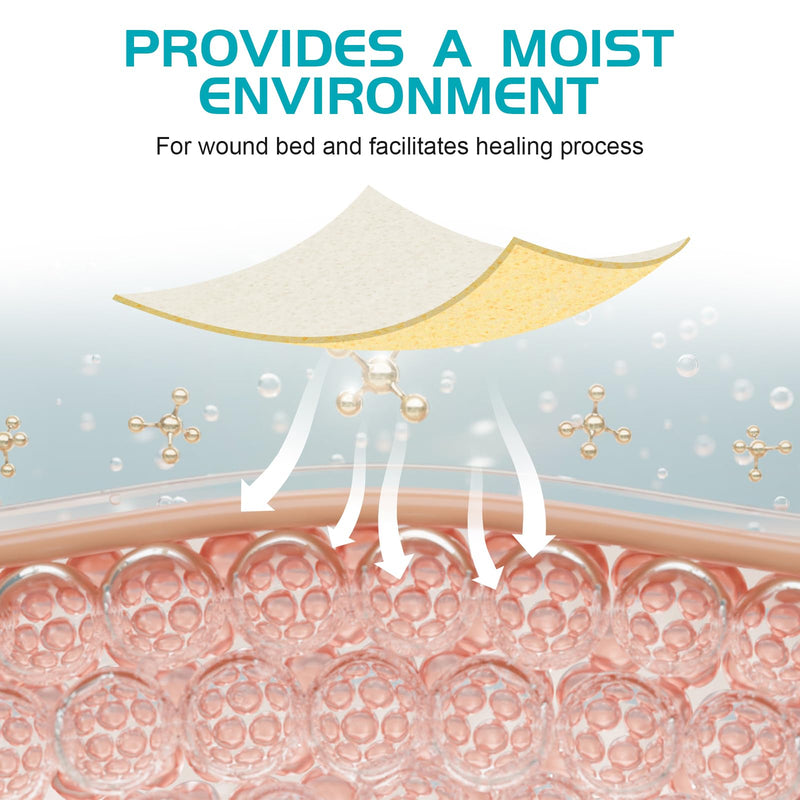 Manuka Honey Calcium Alginate Wound Dressing 2"x2" Pack of 10, Medical Grade Manuka Honey Wound Care Bandages High Absorbency Patches for Wounds - BeesActive Australia