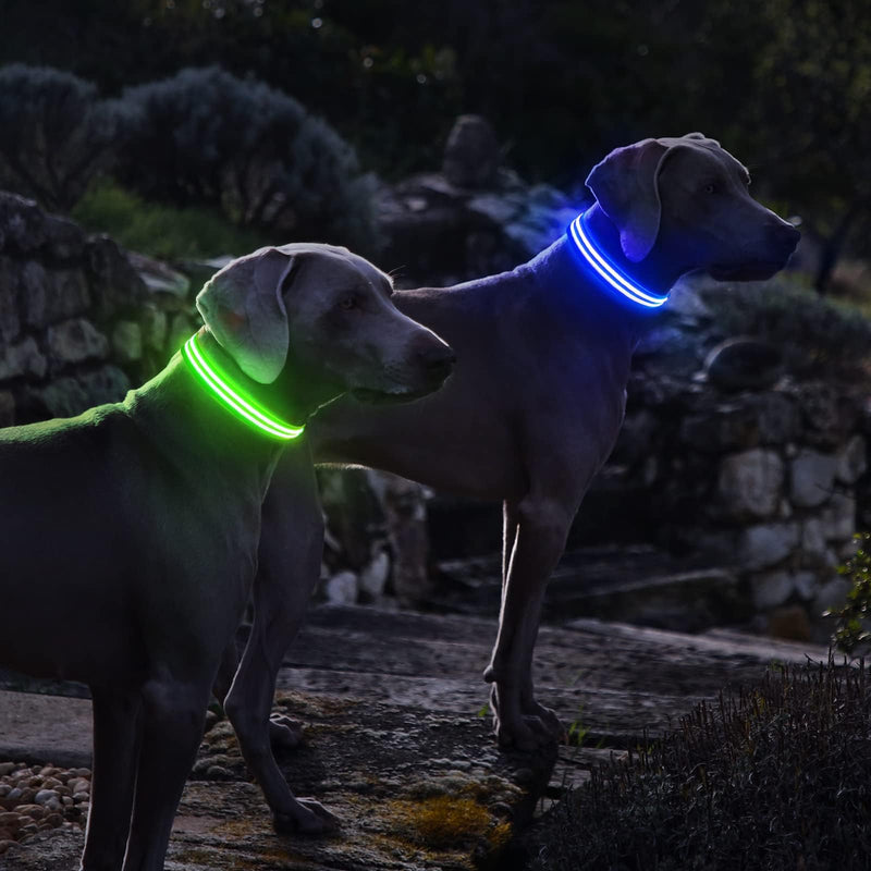 PcEoTllar Luminous Dog Collar Rechargeable, LED Dog Collar Luminous with 3 Light Modes, Luminous Dog Collar Adjustable Waterproof for Small Medium Large Dogs, Green-L L(48-60cm/19-23.6inch) Green(TC5000) - BeesActive Australia