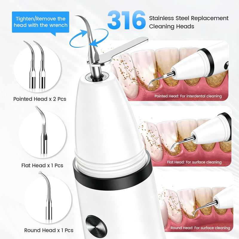 Plaque Remover for Teeth, Tartar Remover with 4 Tips